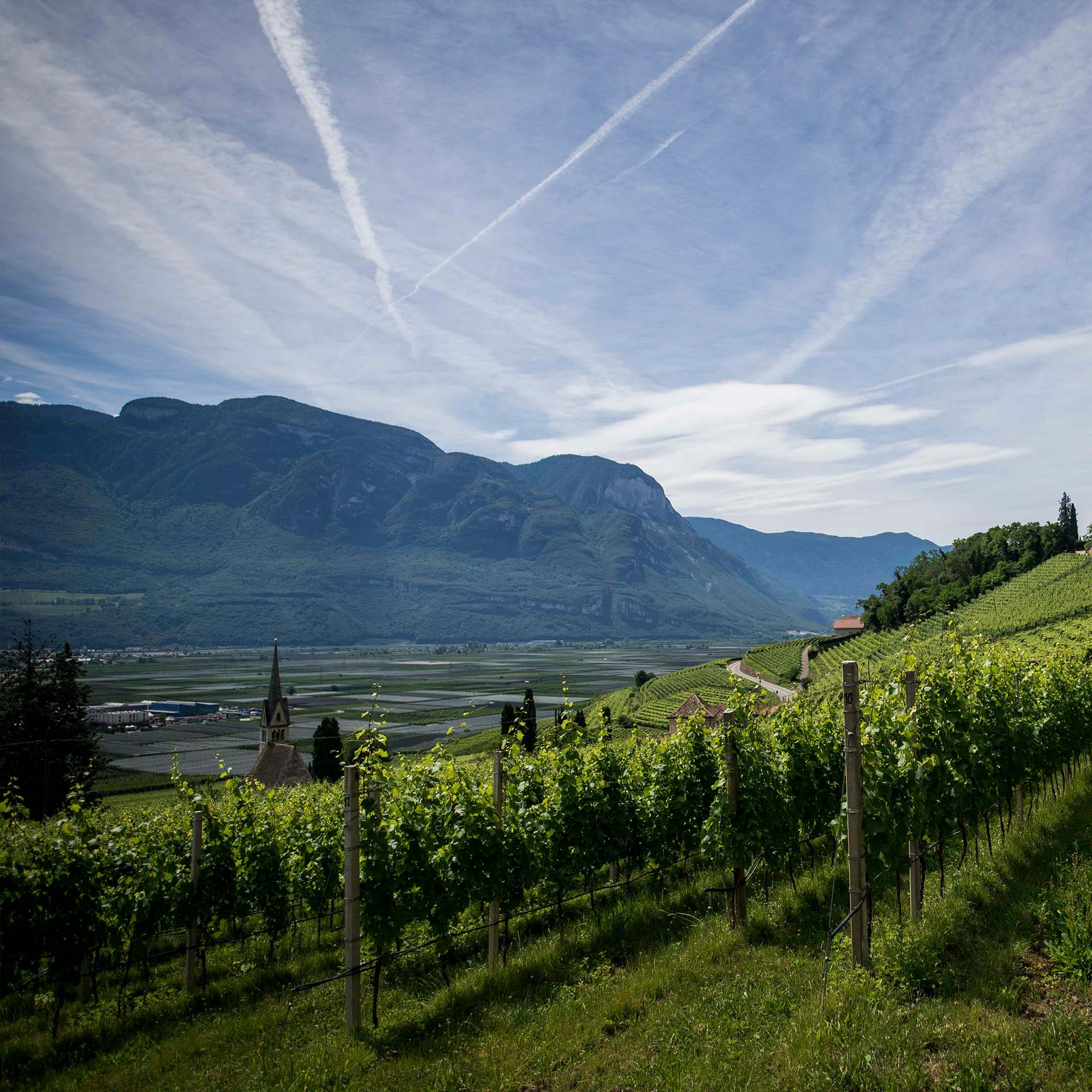 Raakvat Winelands